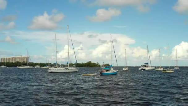 Stock footage sailboats in the bay 4k - Footage, Video