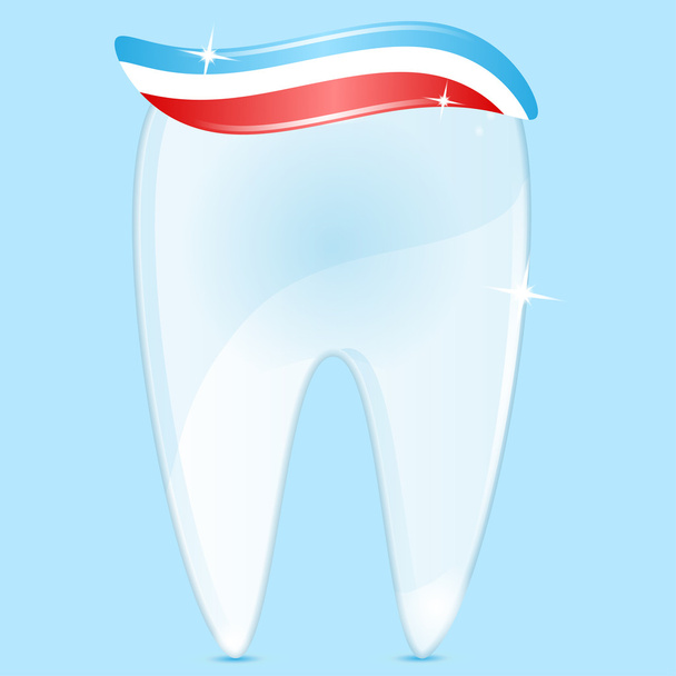 tooth of white color and tooth-paste - Vector, Image
