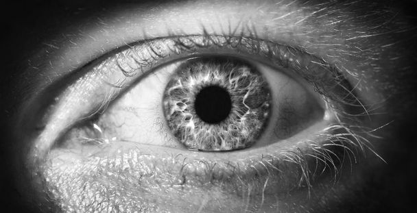 menselijk oog close-up - Foto, afbeelding