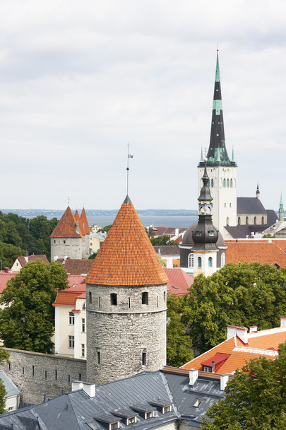 καλοκαίρι θέα την παλιά πόλη του Ταλίν, Εσθονία - Φωτογραφία, εικόνα
