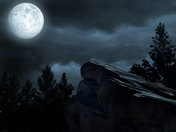 Luna sulla foresta oscura
 - Foto, immagini