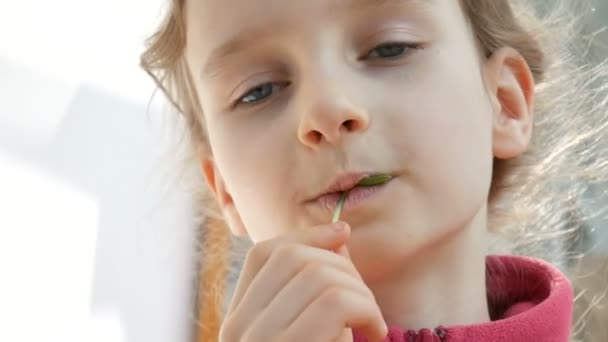 Közelről gyerek portréja egy édes kislány eszik élénkzöld microgreens a napraforgó. Gyerekek és természet, vegetáriánus koncepció. - Felvétel, videó