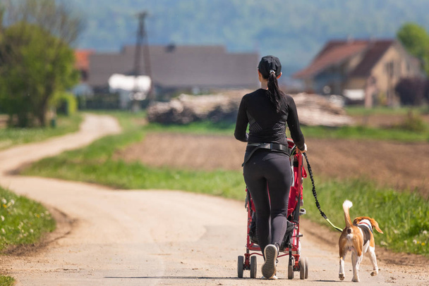 Сонячний день в сільській місцевості. Мати з дитиною і Бігль собака ходьбі - Фото, зображення