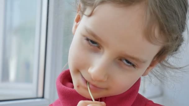 Közelről portré egy kis szőke lány piros inget eszik élénkzöld microgreens a napraforgó. Gyerekek és természet, vegetáriánus koncepció, egészséges táplálkozás - Felvétel, videó