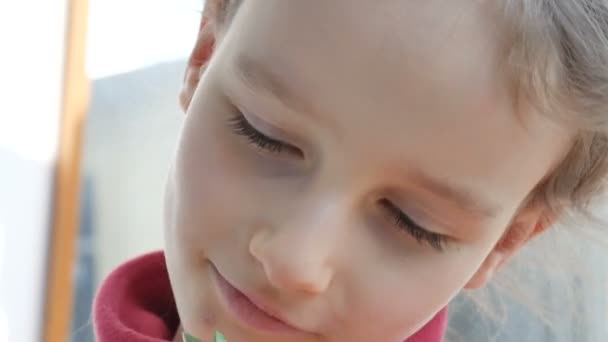 Közelről portré egy csinos kislány eszik élénkzöld microgreens a napraforgó. Gyerekek és természet, vegetáriánus koncepció, egészséges táplálkozás - Felvétel, videó