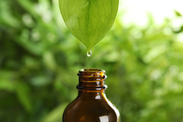 Essential oil dripping from leaf into glass bottle on blurred background - Photo, image