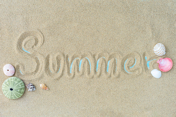 Felülnézet a strand homokkal a héjak. nyári háttér-koncepció. - Fotó, kép