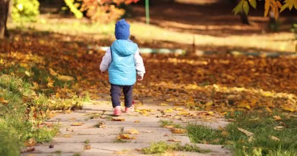 Bambino solo con cappello blu e gilet che cammina via in modo divertente nel parco autunnale
. - Filmati, video