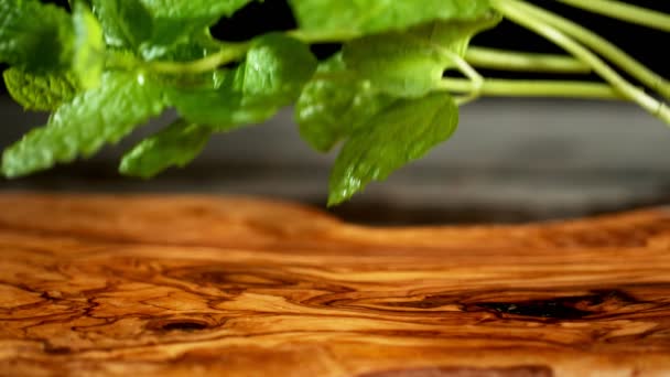 Super slow motion of falling mint on cutting board - Séquence, vidéo