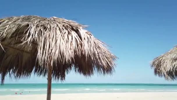 Sombrilla en la playa
 - Imágenes, Vídeo