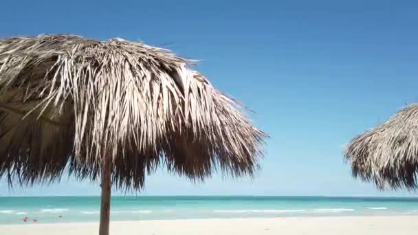 Sombrilla en la playa
 - Imágenes, Vídeo