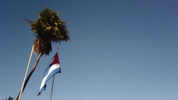 Palma Bandiera Cubana. Bandiera cubana contro una palma tropicale e cielo blu
. - Filmati, video