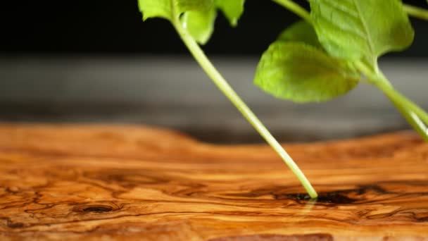 Super slow motion of falling mint on cutting board - Filmmaterial, Video