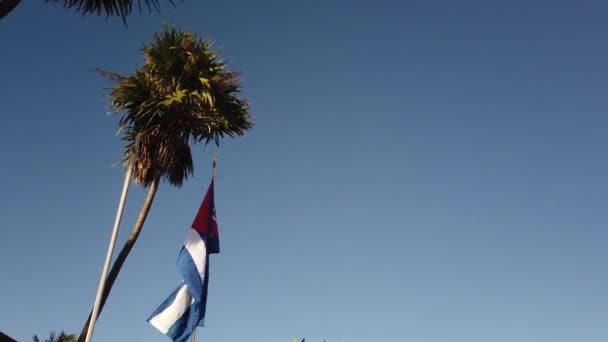 Η κουβανική σημαία Palm Tree. Κουβανική σημαία ενάντια σε ένα τροπικό φοινικόδασος και γαλάζιο ουρανό. - Πλάνα, βίντεο