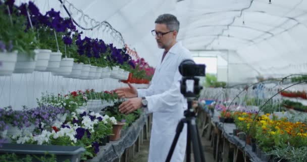 A növénynek a fényképezőgépbe történő bemutatása férfi Kertész - Felvétel, videó