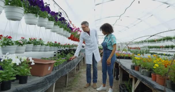 Gardeners examining flower - Footage, Video