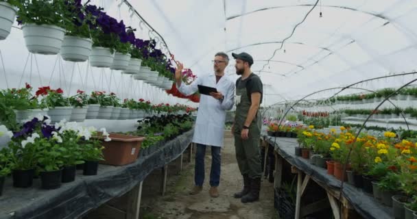 Gardeners walking in greenhouse - Footage, Video
