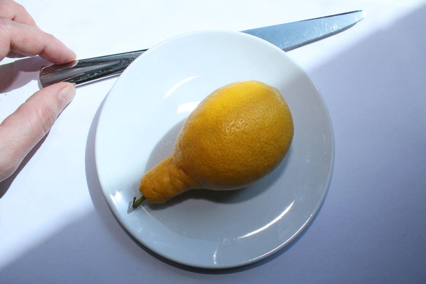 Yellow lemon shaped like a pear on a white saucer close-up - Valokuva, kuva