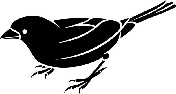 Sparrow - small bird - Vector, Imagen