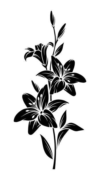 Vector black silhouette of lily flowers. - Vector, Image