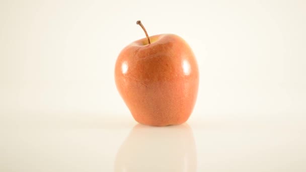 obracanie sonya jabłko na akryl przeciwko biały - dolly prawo - Materiał filmowy, wideo