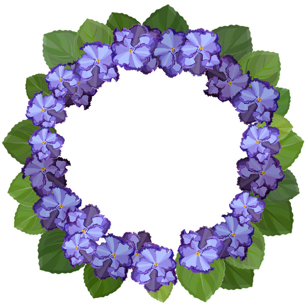 African violet, saintpaulia, on white background. Wreath frame with copy space - Vector, imagen
