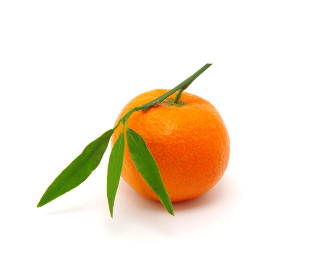 mandarin on white - Foto, Imagen