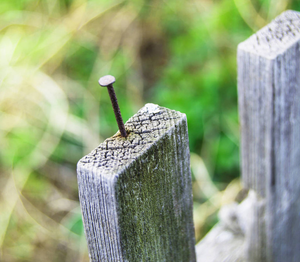 Régi fából készült kerítés és rozsdás szög áll ki - Fotó, kép