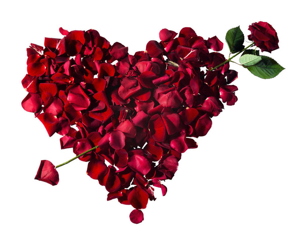 rose petals in the shape of a heart pierced by an arrow. - Foto, imagen