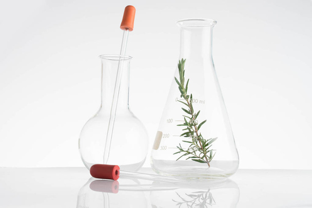 laboratory and research with alternative herb medicine - Valokuva, kuva