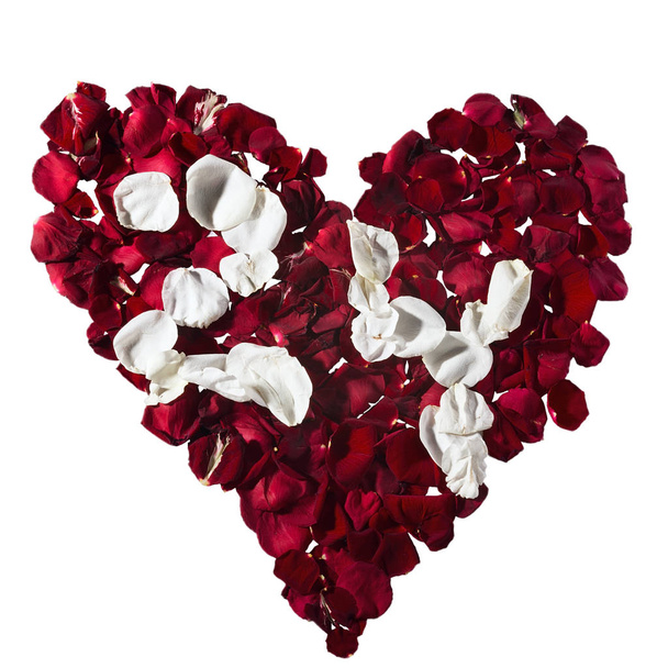petals in a heart shape. The numbers for the calendar - Foto, imagen