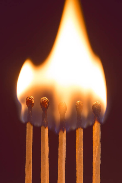 Burning matches - 写真・画像