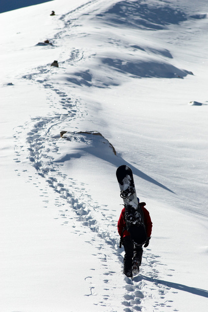 Snowboarder uphill for freeride - Photo, image