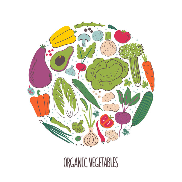 Organic vegetables hand drawn color vector illustration - Vector, Image
