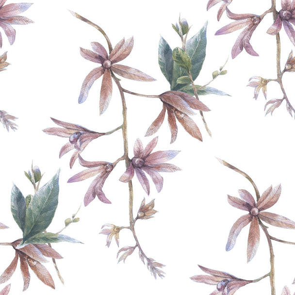 Watercolor painting of leaf and flowers, seamless pattern on white background - Fotografie, Obrázek