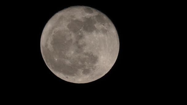 Luna llena brillante iluminada. Luna nocturna moviéndose en el cielo oscuro
. - Metraje, vídeo