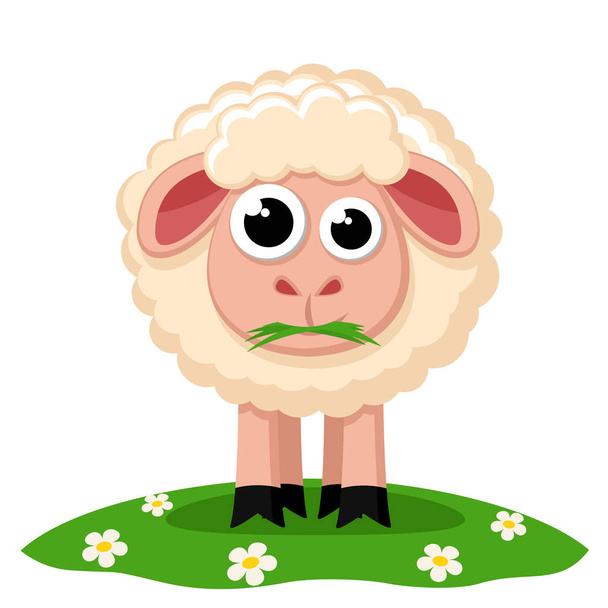 Sheep chewing grass on a green meadow. Animal - Vektör, Görsel