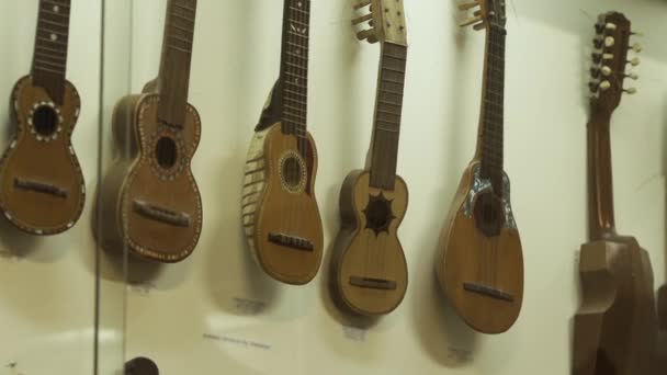 Old Charangos in a Bolivian Museum.  - Footage, Video