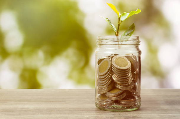 Spaar-en investerings concept. Plant groeit op munten in jar op - Foto, afbeelding