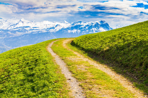 Mountain road leading through green meadow in Alps - Foto, afbeelding