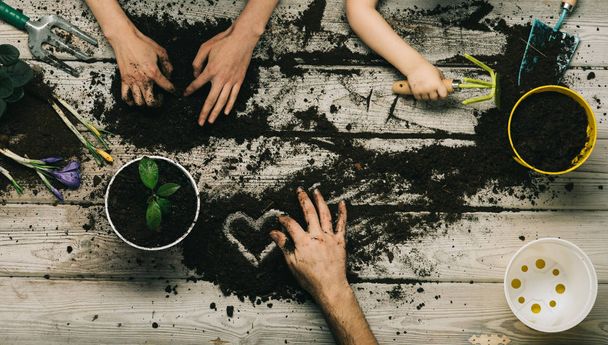 Love. Nature. Family concept. Man, woman and child. Garden. Home plants. - 写真・画像