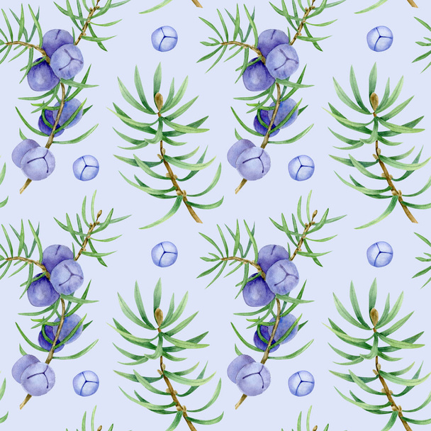 illustration of juniper berry on branch - Zdjęcie, obraz