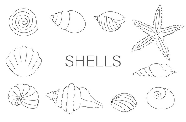 Vector black and white set of sea shells isolated on white backg - Vektor, Bild