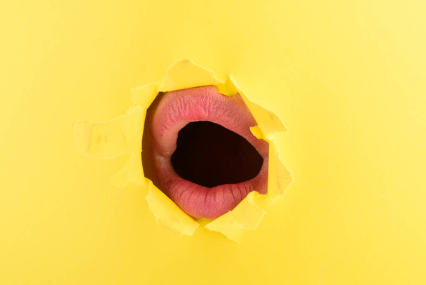 Open mouth. Female lips isolated. Pink lip, Close up of sexy plump soft lips, sexy. Yellow hole. - 写真・画像