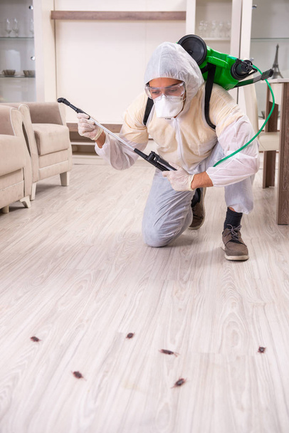 Pest control contractor working in the flat  - Photo, Image