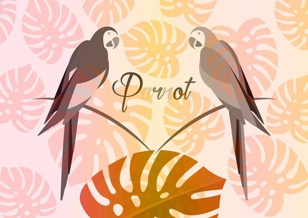 papagájok, trópusi pár papagáj, madár ikon kép vektoros illusztráció design több színű, elszigetelt vagy fikarcnyi virágos nyári minta háttér - Vektor, kép