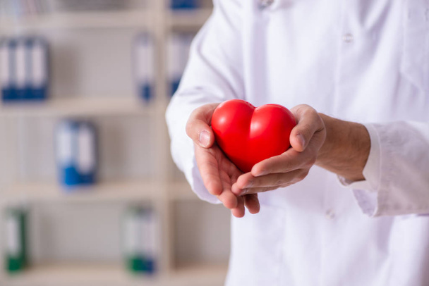 Médico cardiólogo masculino sosteniendo modelo de corazón
  - Foto, Imagen