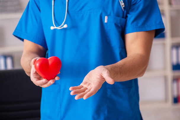 Férfi orvos kardiológus gazdaság szív modell  - Fotó, kép