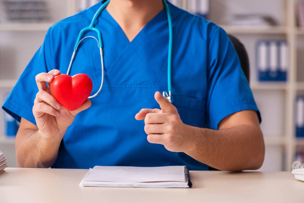 Male doctor cardiologist holding heart model  - Photo, Image