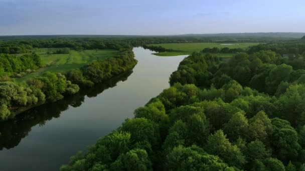 Aerial view of a beautiful river landscape in a green forest at sunset - Video, Çekim
